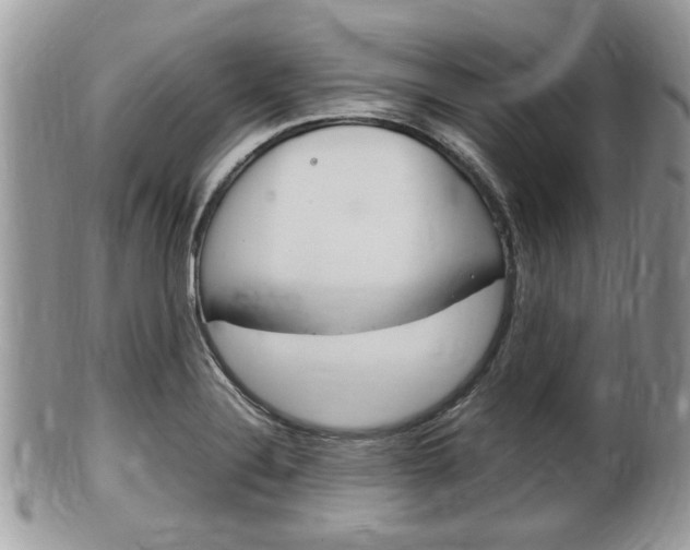 X0000100481324200806130724