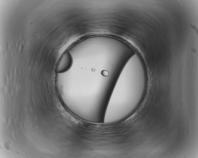 X0000100481325200806130724