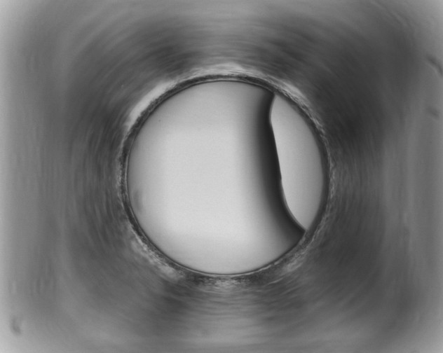 X0000100481326200806130724