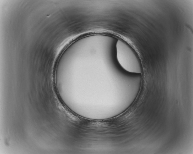 X0000100481327200806130724