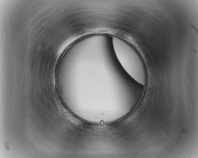X0000100481328200806130724