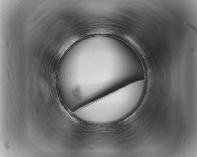 X0000100481329200806130724