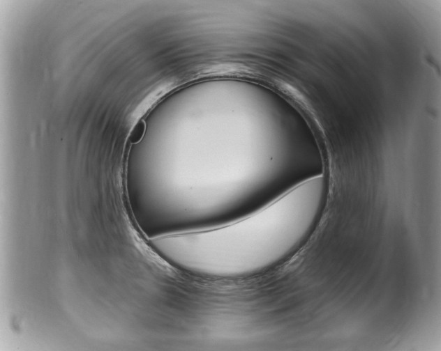 X0000100481330200806130724