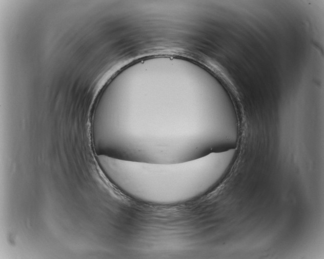 X0000100481332200806130724