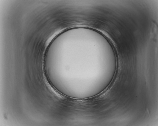 X0000100481333200806130724
