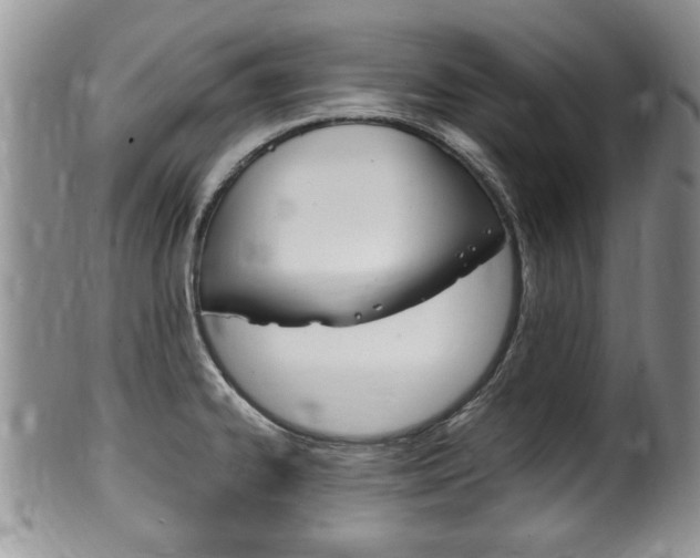 X0000100481334200806130724