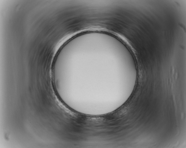 X0000100481335200806130724