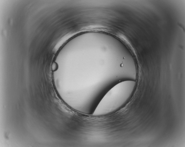 X0000100481336200806130724