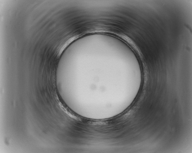 X0000100481337200806130724