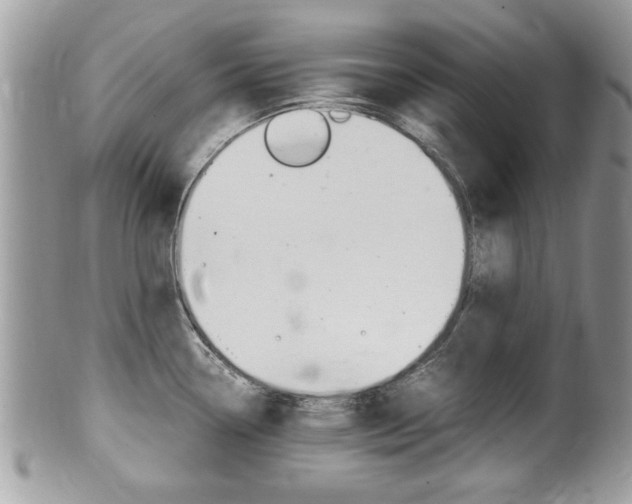 X0000100481338200806130724