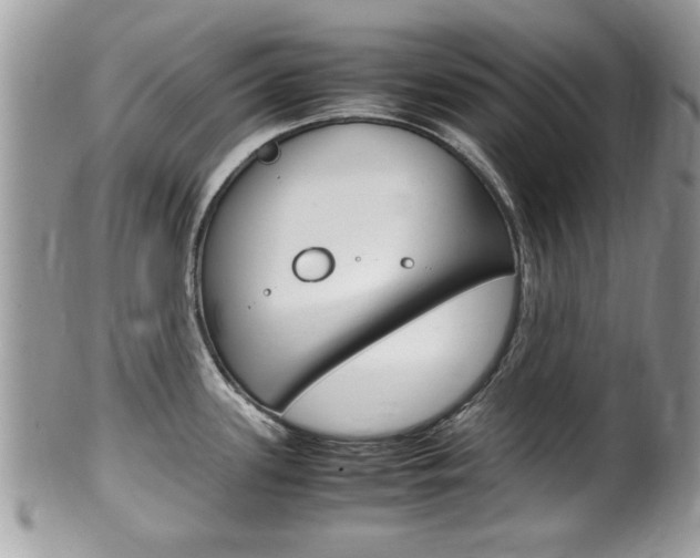 X0000100481339200806130724
