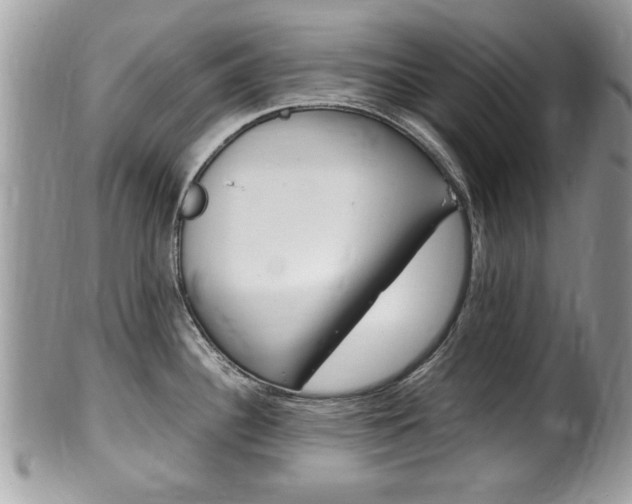 X0000100481340200806130724