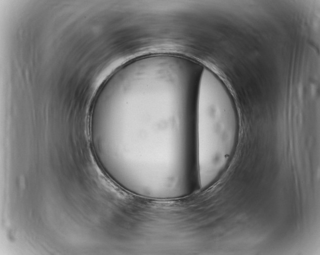 X0000100481342200806130724