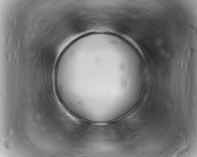 X0000100481343200806130724