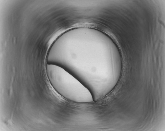 X0000100481344200806130724