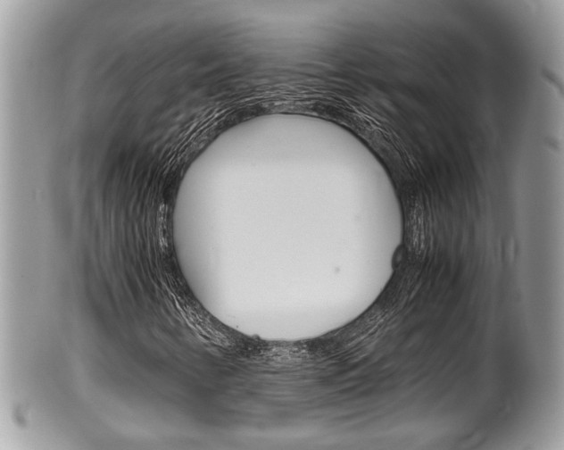 X0000100481346200806130723