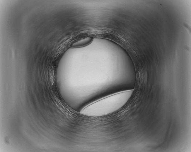 X0000100481348200806130723