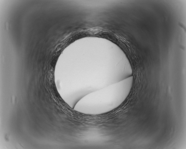 X0000100481349200806130723