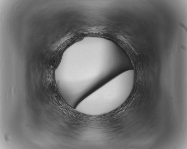 X0000100481350200806130723