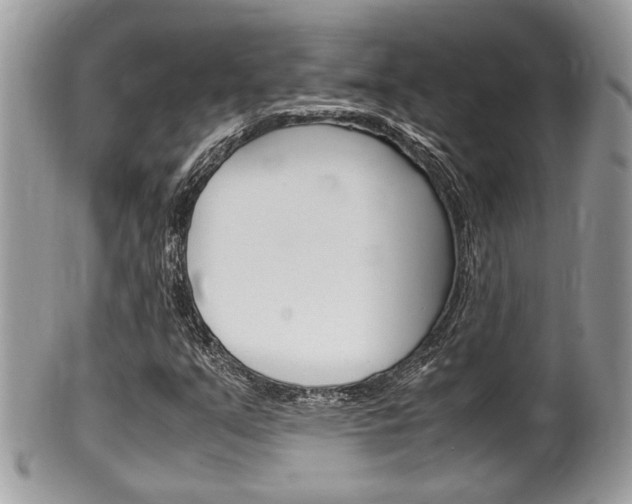 X0000100481351200806130723