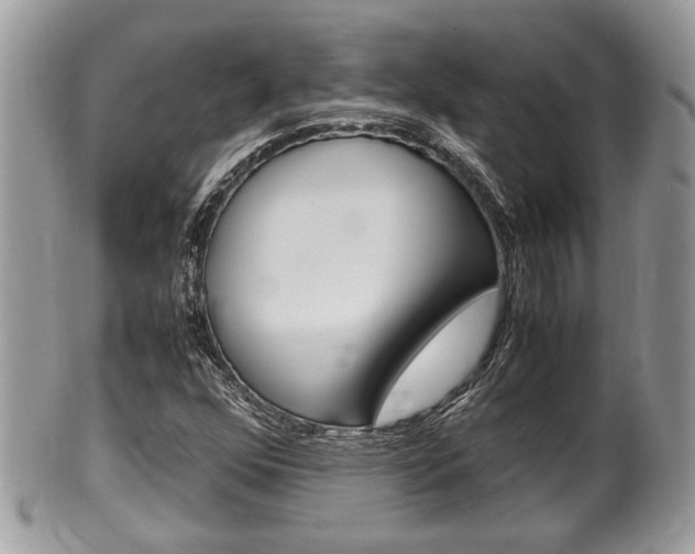 X0000100481352200806130723
