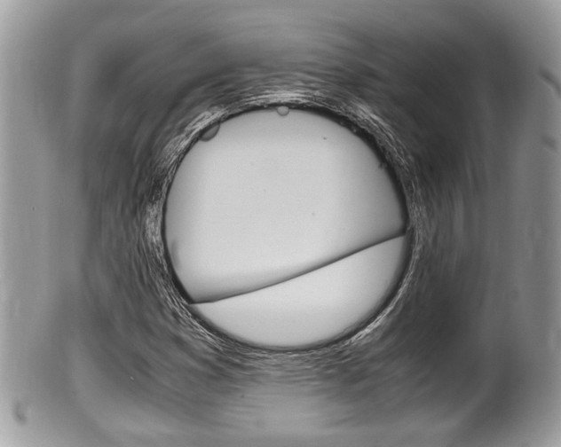 X0000100481353200806130723