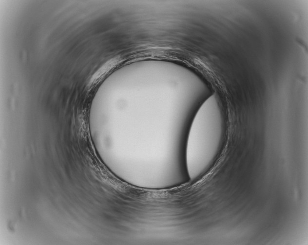 X0000100481354200806130723