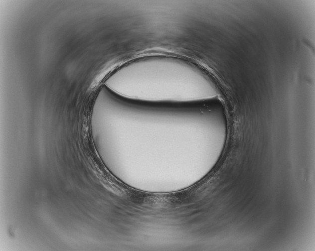 X0000100481355200806130723