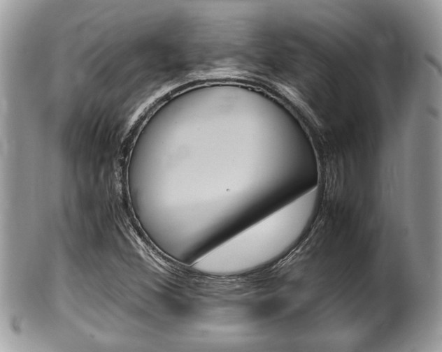 X0000100481356200806130723