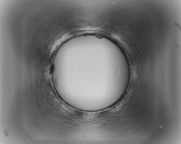 X0000100481357200806130723