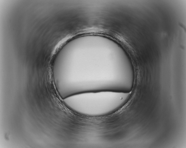 X0000100481358200806130723