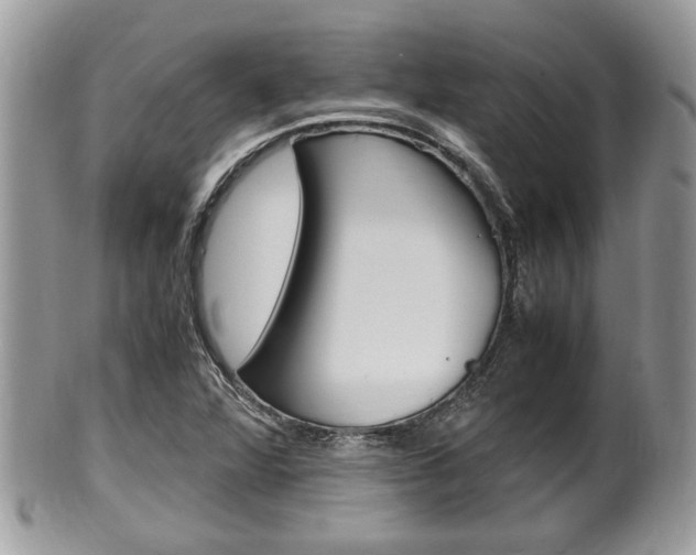 X0000100481360200806130723
