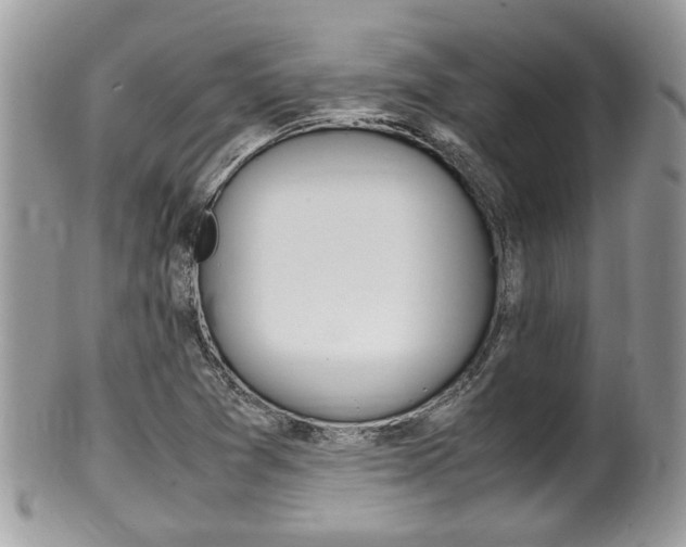 X0000100481361200806130723