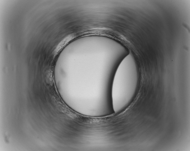 X0000100481362200806130723
