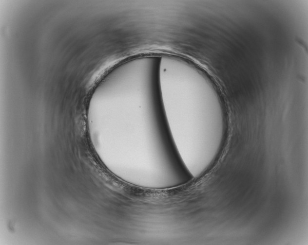 X0000100481363200806130723