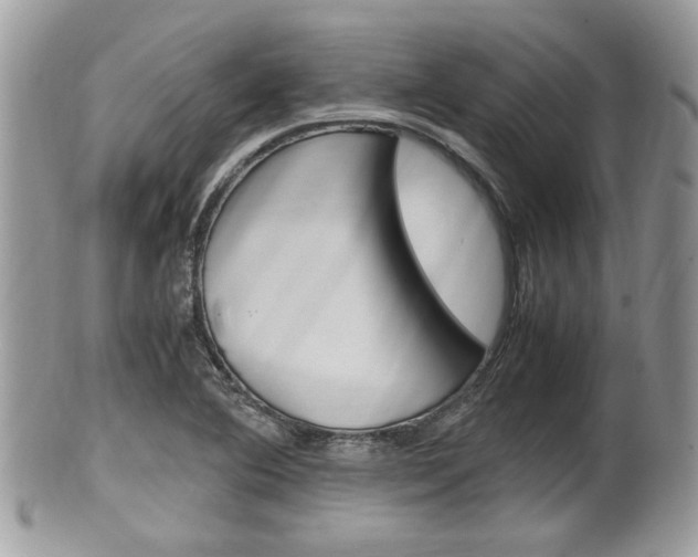 X0000100481364200806130723