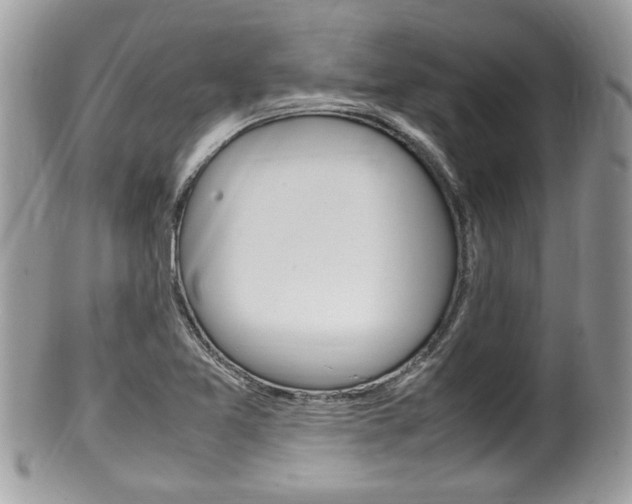 X0000100481365200806130723