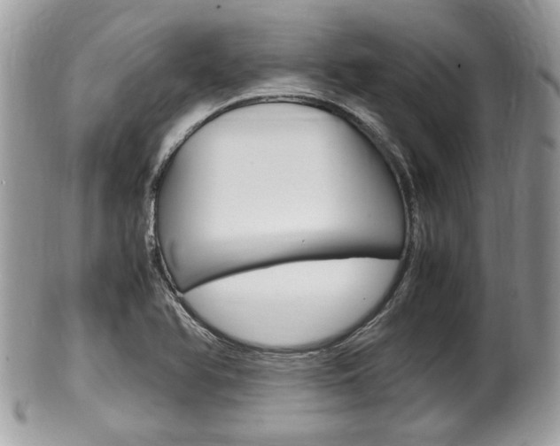 X0000100481366200806130723