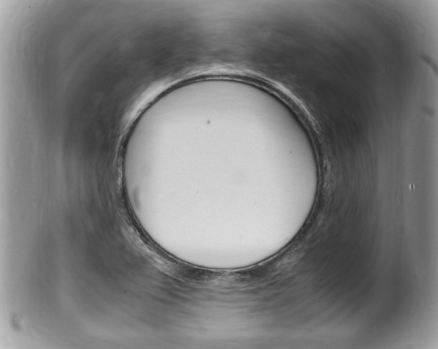 X0000100481367200806130723