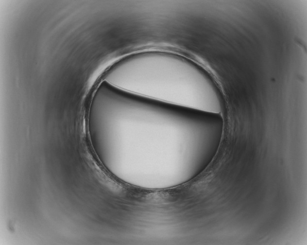 X0000100481368200806130723