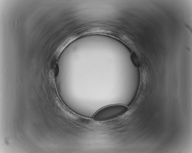 X0000100481369200806130723