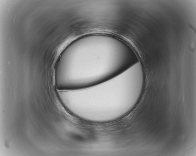 X0000100481371200806130723