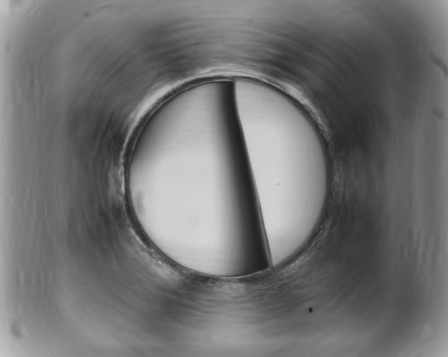 X0000100481372200806130723