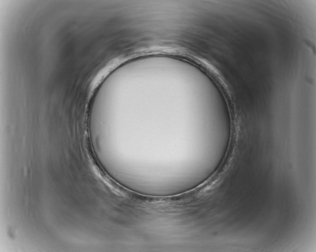 X0000100481373200806130723