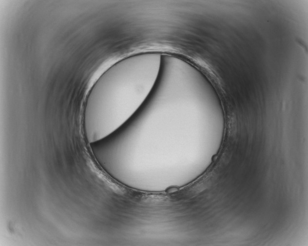 X0000100481374200806130723