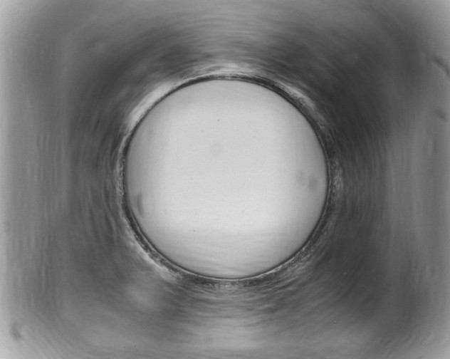 X0000100481375200806130723