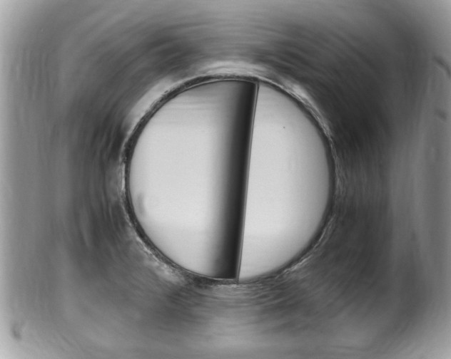 X0000100481376200806130723