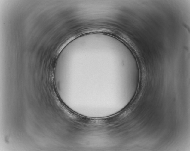 X0000100481377200806130723