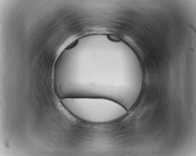 X0000100481378200806130722