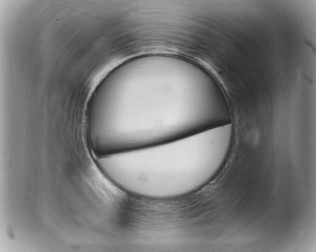 X0000100481379200806130722